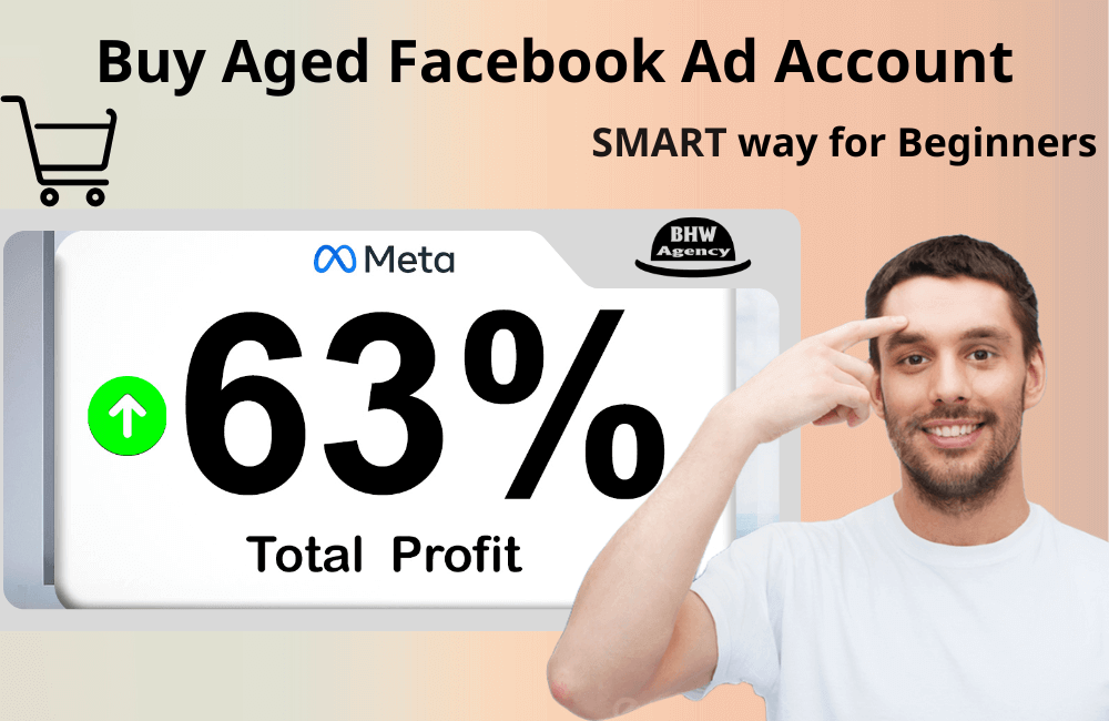 Buy Aged Facebook Ads Accounts for ads: What Beginners Need to Know